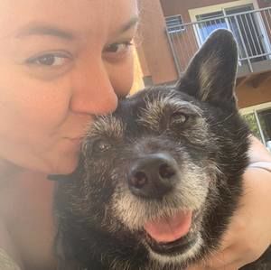 Meet your Posher, Kc